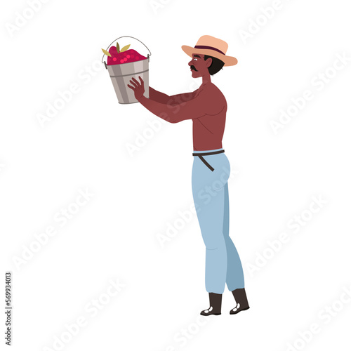 Man in Hat Harvesting Coffee Crop Picking Ripe Red Berry in Bucket Vector Illustration