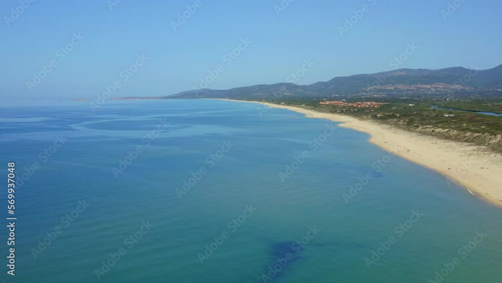 Amazing view of sandy beach with green vegetation near blue sea Amazing view of sandy beach with green vegetation near blue sea