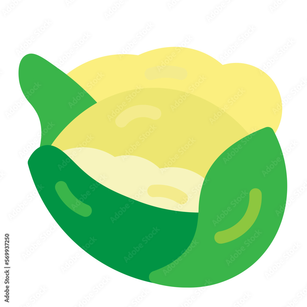 Cabbage Flat Icon Cabbage Flat Icon