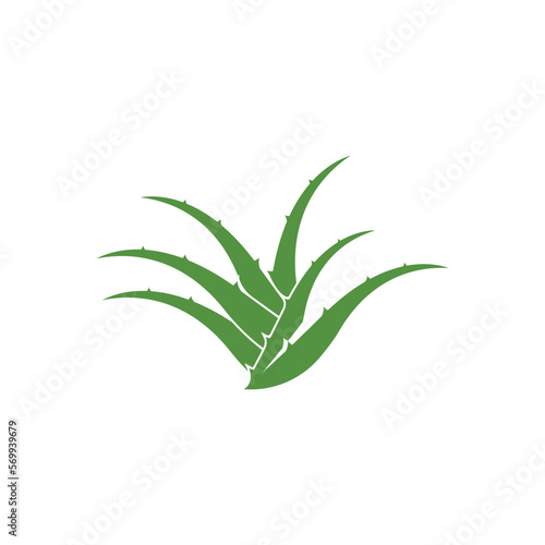 Aloe Vera logo icon design symbol beauty