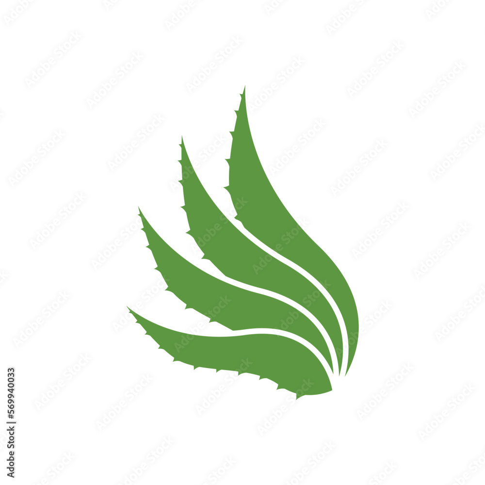 Aloe Vera logo icon design symbol beauty Aloe Vera logo icon design symbol beauty
