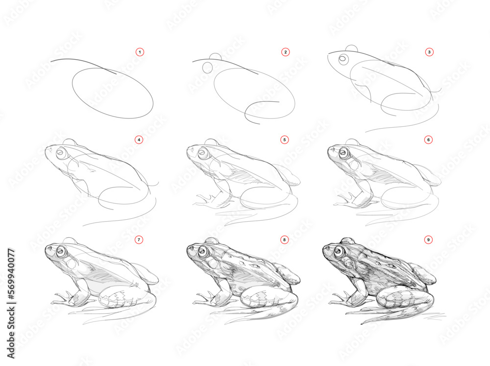How To Draw a Frog Step by Step for Kids - 10 Minutes of Quality Time