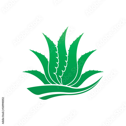 Aloe Vera logo icon design symbol beauty
