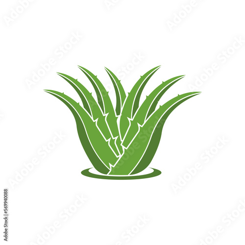 Aloe Vera logo icon design symbol beauty