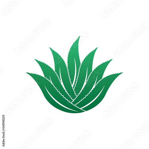 Aloe Vera logo icon design symbol beauty