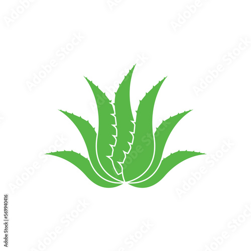 Aloe Vera logo icon design symbol beauty
