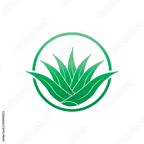 Aloe Vera logo icon design symbol beauty