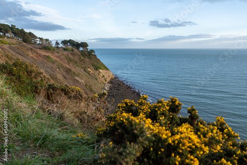 Beautiful lansdcape, shores and cliffs in Howth, Dublin