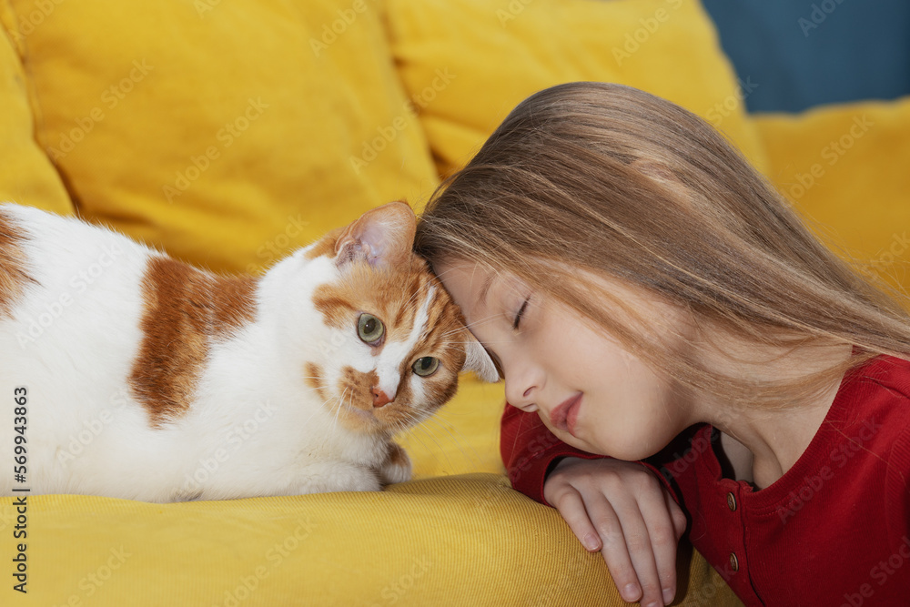 A small cute child gently embraces a red fluffy cat A small cute child gently embraces a red fluffy cat