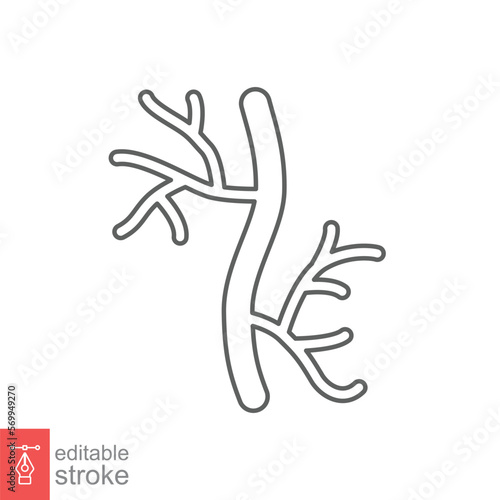 Human artery line icon. Outline style can be used for web, mobile, ui. Blood, vessel, artery, vascular, vein concept. Vector illustration isolated on white background. Editable stroke EPS 10.