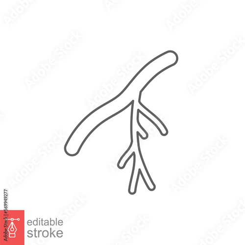 Human artery line icon. Outline style can be used for web, mobile, ui. Blood, vessel, artery, vascular, vein concept. Vector illustration isolated on white background. Editable stroke EPS 10.