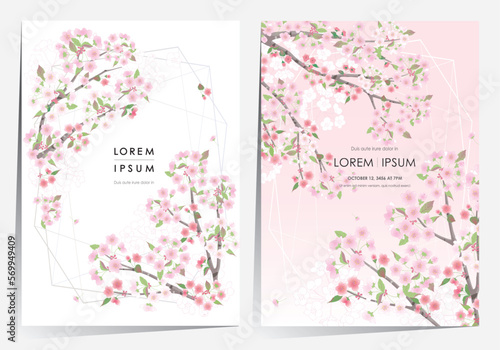 Vector editorial design frame set of Korean spring scenery with cherry trees in full bloom. Design for social media, party invitation, Frame Clip Art and Business Advertisement