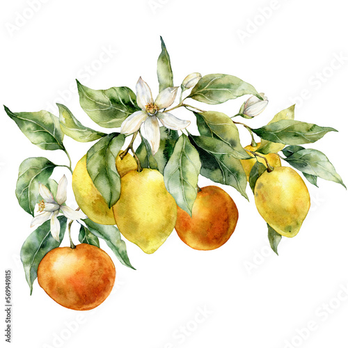 Watercolor tropical bouquet of ripe lemons, oranges, flowers and leaves. Hand painted branch of fresh fruits isolated on white background. Tasty food illustration for design, print or background.
