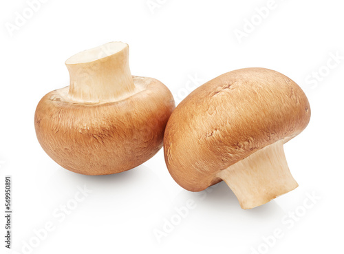 Uncooked champignon mushrooms isolated on white background
