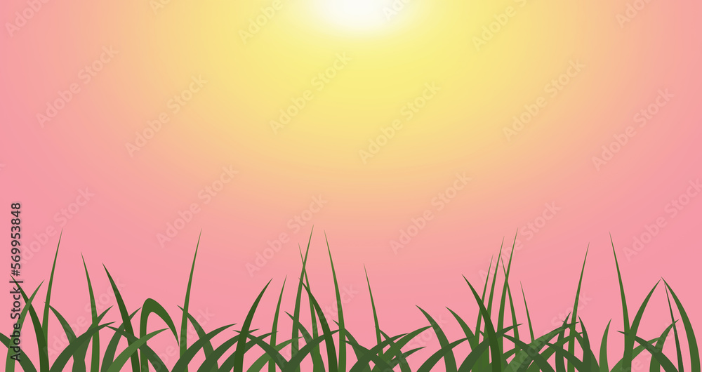 Bright sun, pink background, green grass. Summer landscape, pink evening.