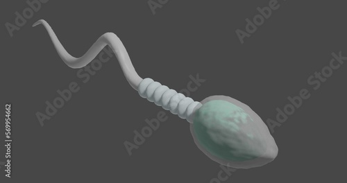 Photos 3d rendered illustration of sperm