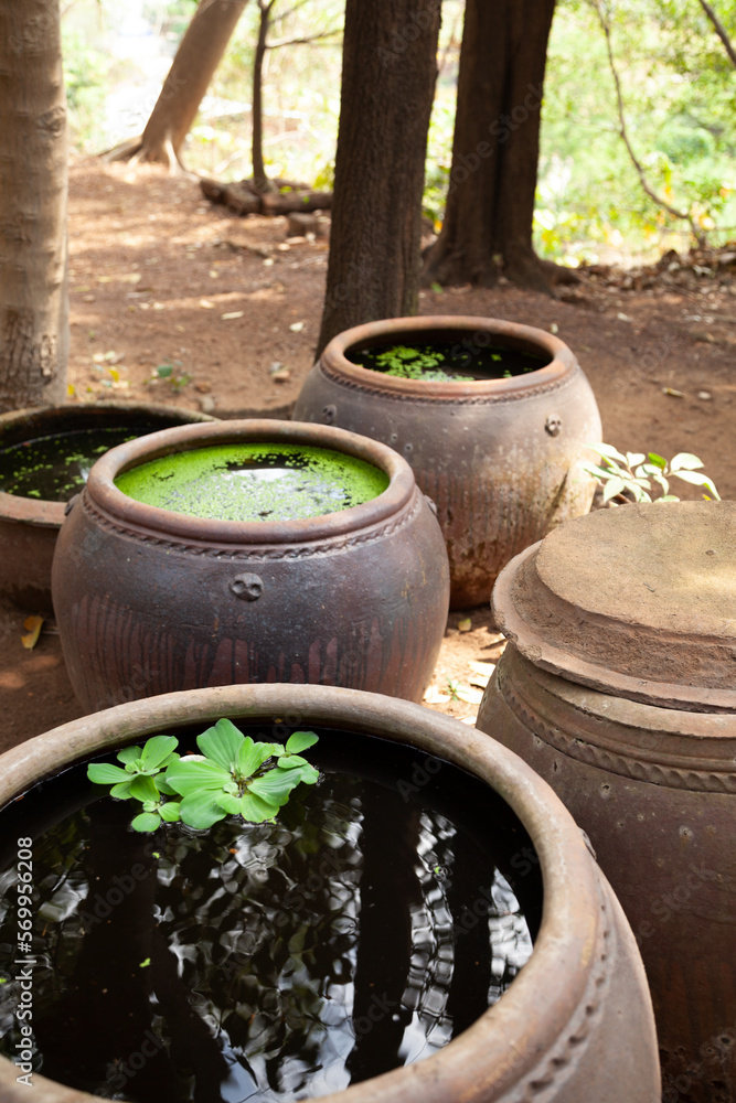 Big ceramic pots for storing water outdoors. Large decorative clay barrels with water plants