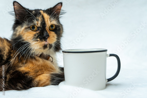 This heartwarming image showcases a cute cat in a peaceful relaxation, resting near a white blank mug