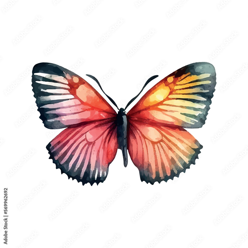orange yellow butterfly watercolor isolated on a white background