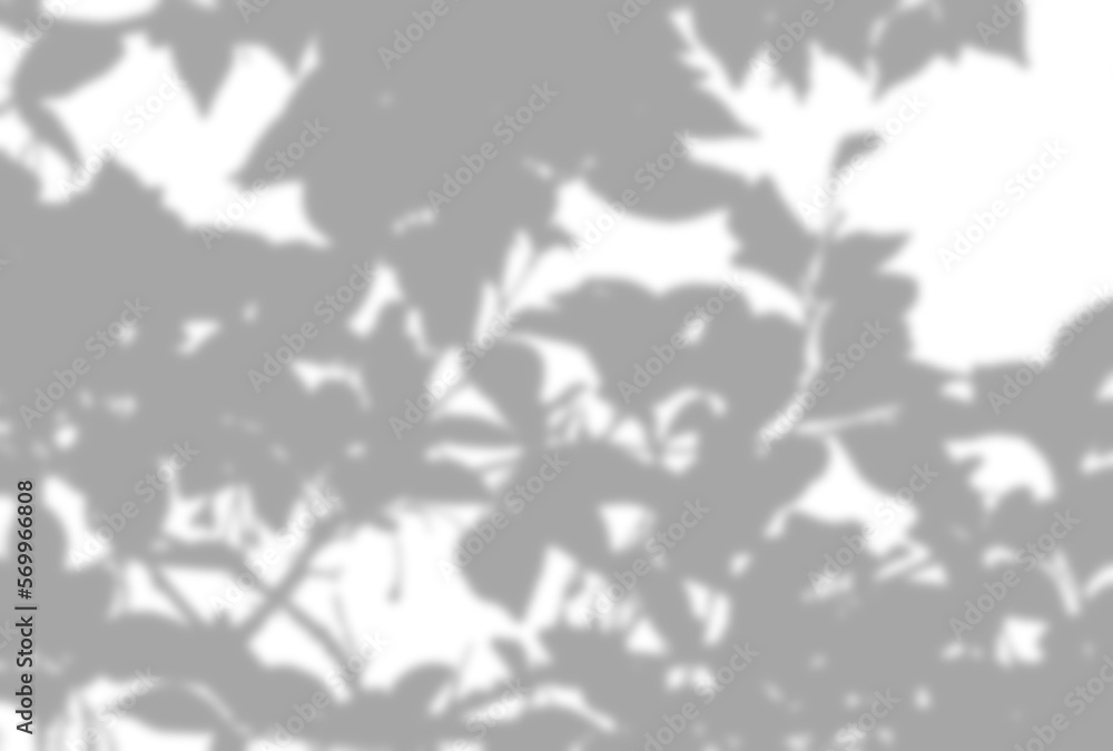 背景イラスト_木漏れ日 背景イラスト_木漏れ日