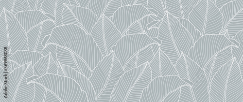 Botanical foliage line art background vector illustration. Tropical palm, banana leaves with a white border on a blue background. Design for wallpaper, home decor, packaging, print, poster, cover, ban