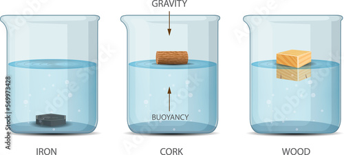Archimedes Principle Density and Buoyancy photo