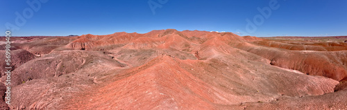 The red bentonite hills on the west side of Angels Garden at Petrified Forest National Park Arizona. photo