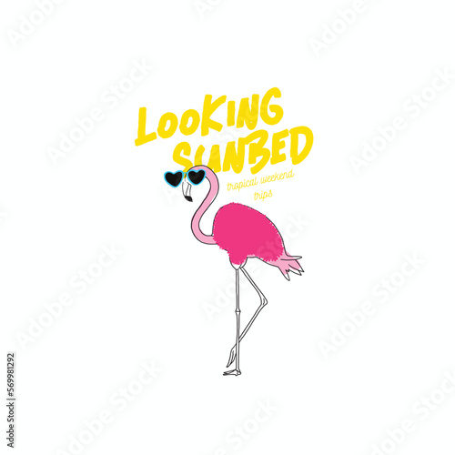 summer flamingo illustration