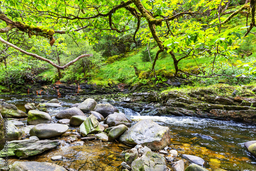 Wonderful natural landscape at Strone Hill Forestry