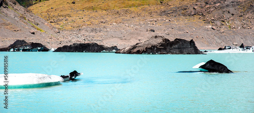 Obraz na płótnie Breathtaking scenery with an ice blocks in the form of duck and black and white dolphins in Solheimajokull lagune, Iceland. Exotic countries. Popular tourist atraction. (global warming – concept) w salonie