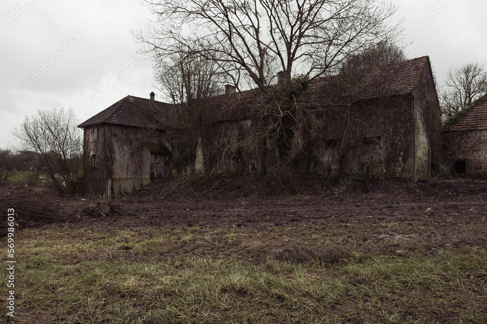 An old abandoned house stands in the grass all over, home insurance An old abandoned house stands in the grass all over, home insurance