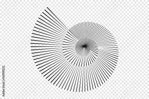 Fotografia Abstract Stripped Nautilus shell symbol. Flat vector illustration