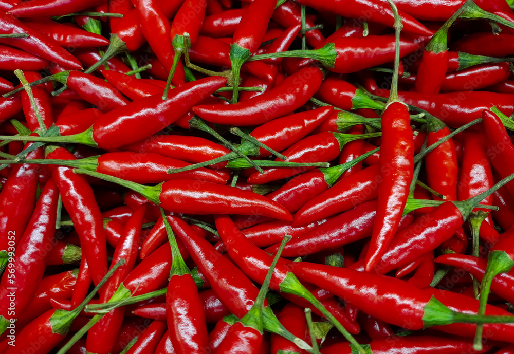 A close-up of many red hot peppers