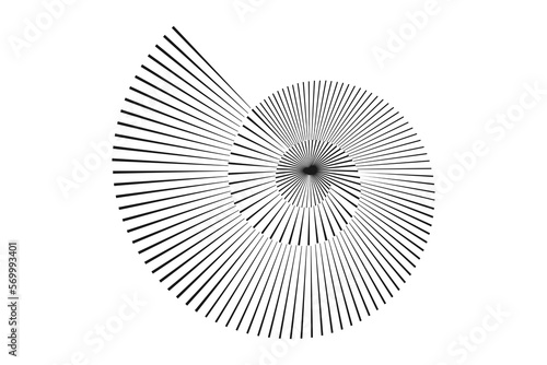 Abstract Stripped Nautilus shell symbol