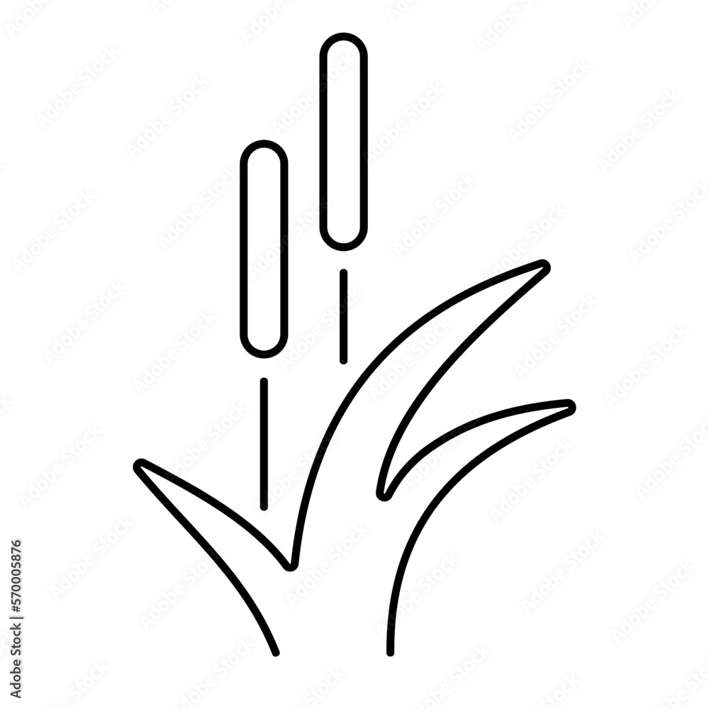 Obraz premium reed icon on white background, vector illustration.