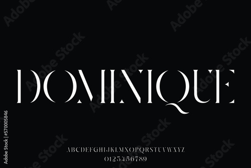 Elegant abstract serif display font vector