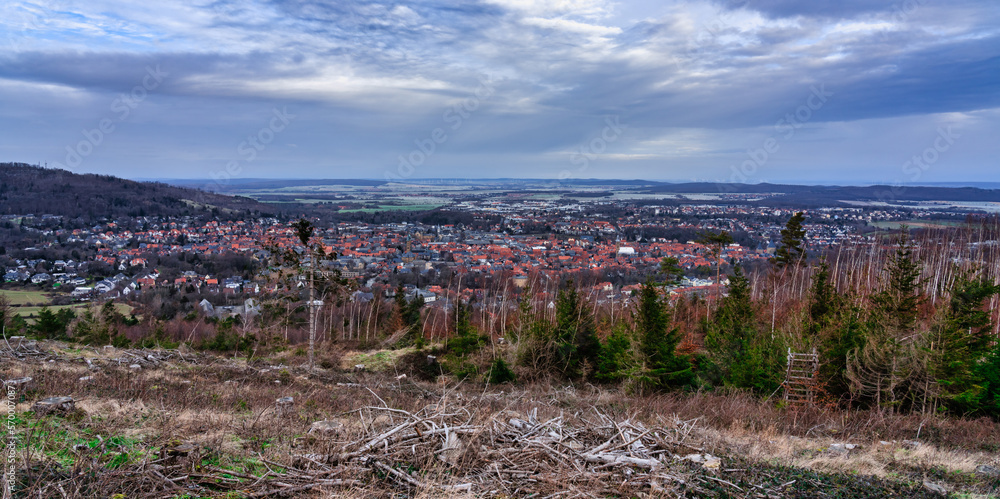 Goslar Panoramablick