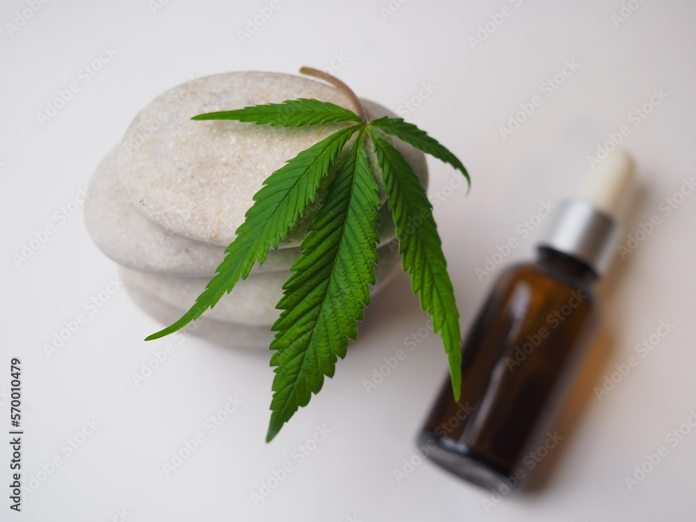 cannabis leaf on pebbles . medical marijuana cannabis leaf on pebbles . medical marijuana
