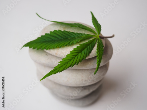 Photography cannabis leaf on pebbles . medical marijuana