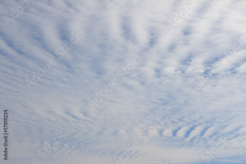 Blue sky and white clouds. Wavy clouds. Background. Layer. Texture. Selective focus. Out of focus. Copy space