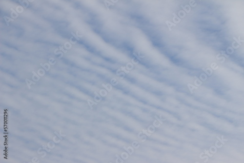 Blue sky and white clouds. Wavy clouds. Background. Layer. Texture. Selective focus. Out of focus. Copy space