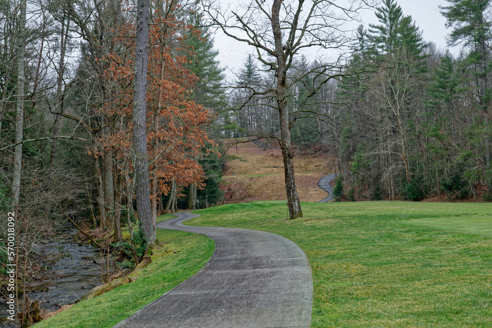 Winding path through the park