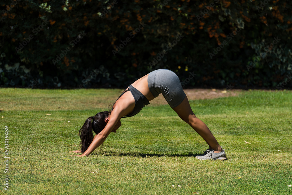Fototapeta premium young and beautiful woman doing gymnastics in the garden of her house on a sunny day, yoga, diet, health