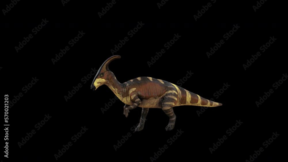 Dinosaur Parasaurolophus Run 3D Animation With Alpha Video