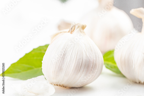 garlic on a white background