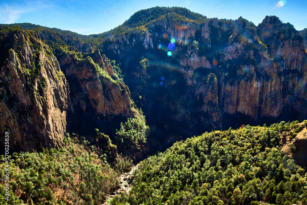 Fototapeta premium canyon with forest and river in sunny day, basaseachi chihuahua 