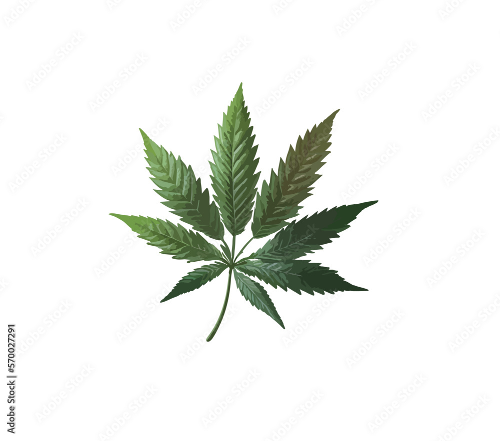 Flat image of a cannabis leaf against white background. Vector illustration Flat image of a cannabis leaf against white background. Vector illustration