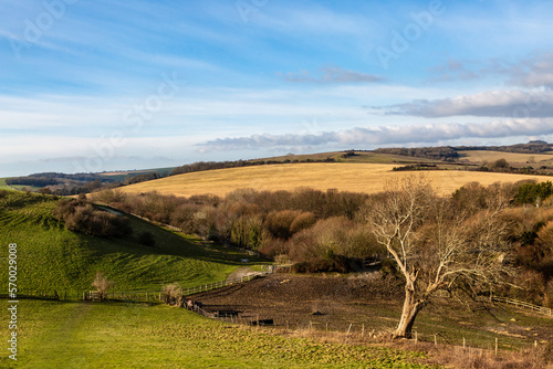 Looking out over farmland in Sussex on a sunny winter's day