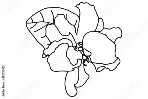 violets is drawn with a black outline, it is intended for cards, tattoos, fabric and clothes printing, coloring, labels, Valentine, March 8 and you can use it in different cases.