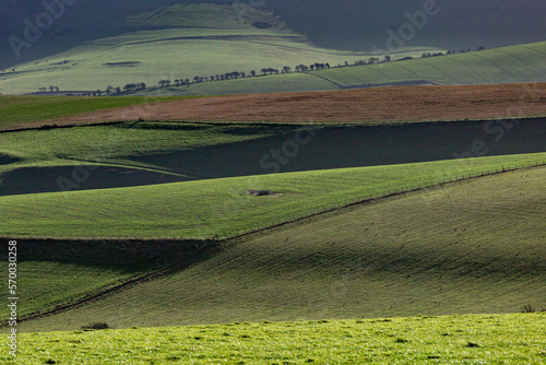 A green rolling landscape in the South Downs